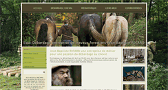 Desktop Screenshot of equi-debardage.com